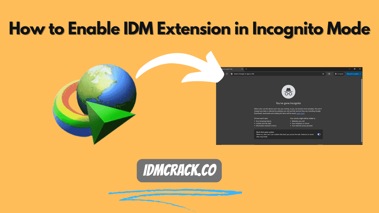 How to enable IDM extension in Incognito mode